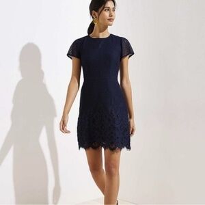 LOFT Lace Shift Dress Short Illusion Cap Sleeve Eyelash Floral Lace Navy Blue 18